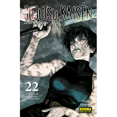 JUJUTSU KAISEN 22