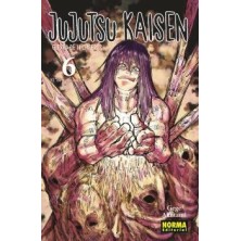 JUJUTSU KAISEN 06 (NE)