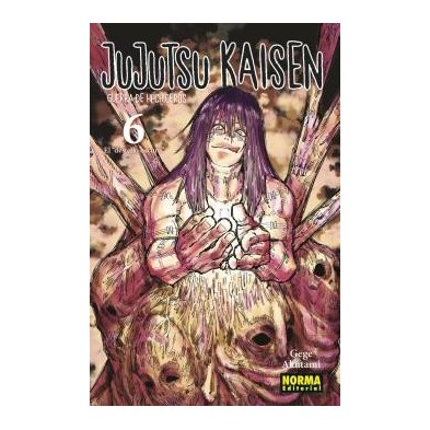 JUJUTSU KAISEN 06 (NE)