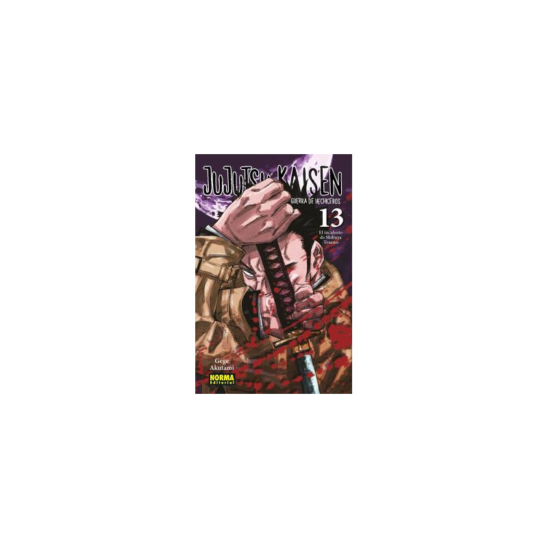JUJUTSU KAISEN 13 (NUEVO PRECIO)