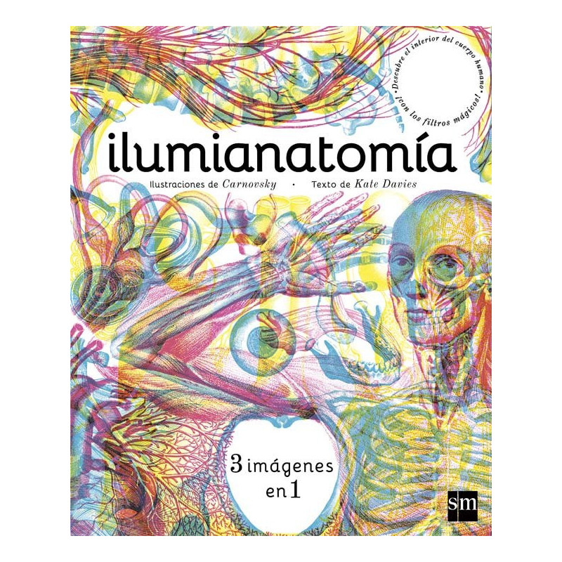 Ilumianatomía