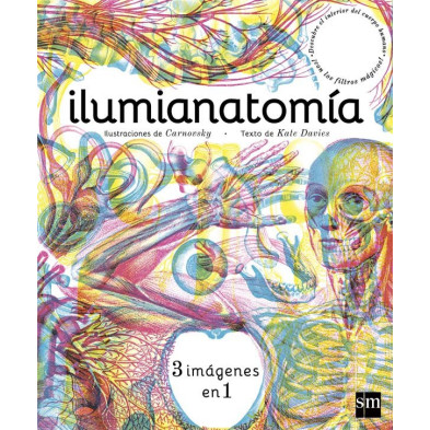 Ilumianatomía
