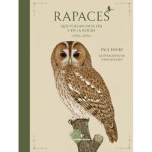Rapaces que vuelan en el dia y en la noche