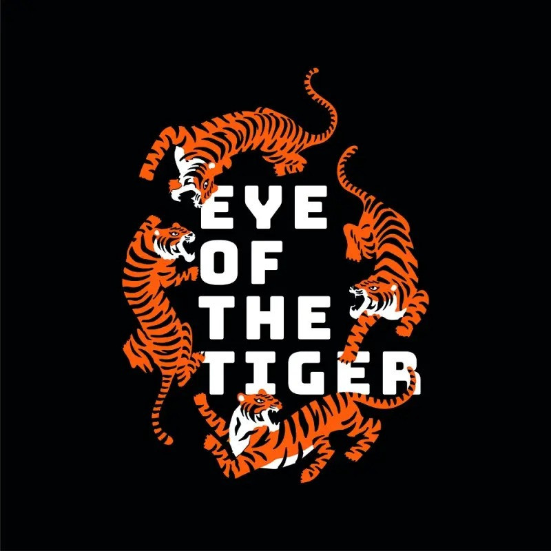 CAMISETA GAMBA TARONJA EYE OF THE TIGER TALLA S