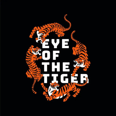 CAMISETA GAMBA TARONJA EYE OF THE TIGER TALLA S