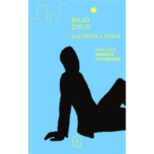 Bajo cielo