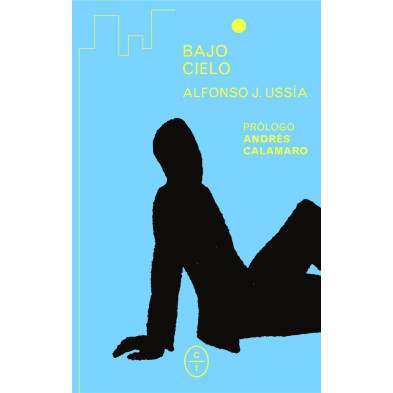 Bajo cielo