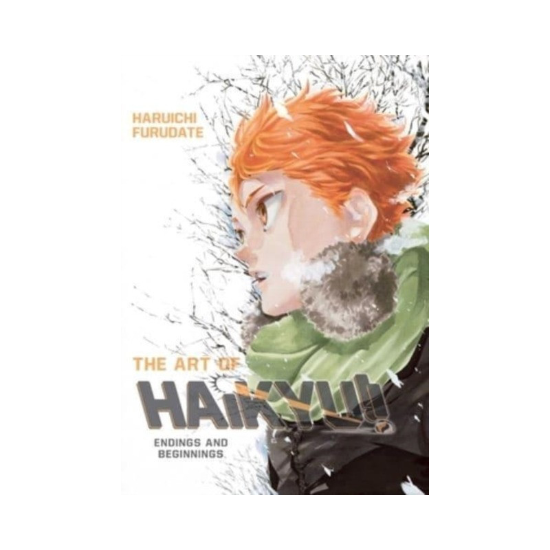 The Art of Haikyu!!