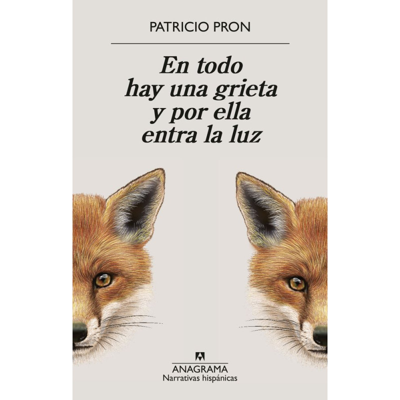 En todo hay una grieta y por ella entra la luz