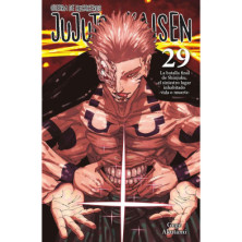 JUJUTSU KAISEN 29