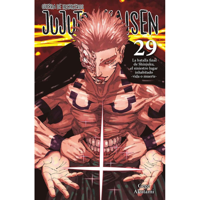 JUJUTSU KAISEN 29