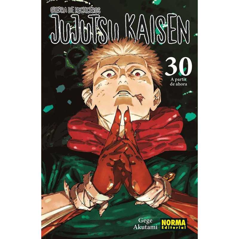 JUJUTSU KAISEN 30