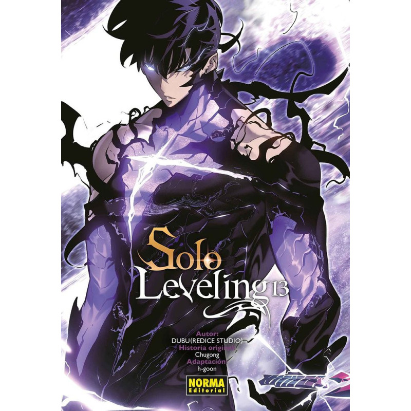 SOLO LEVELING 13