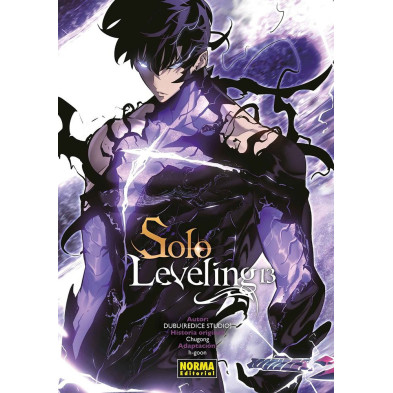 SOLO LEVELING 13