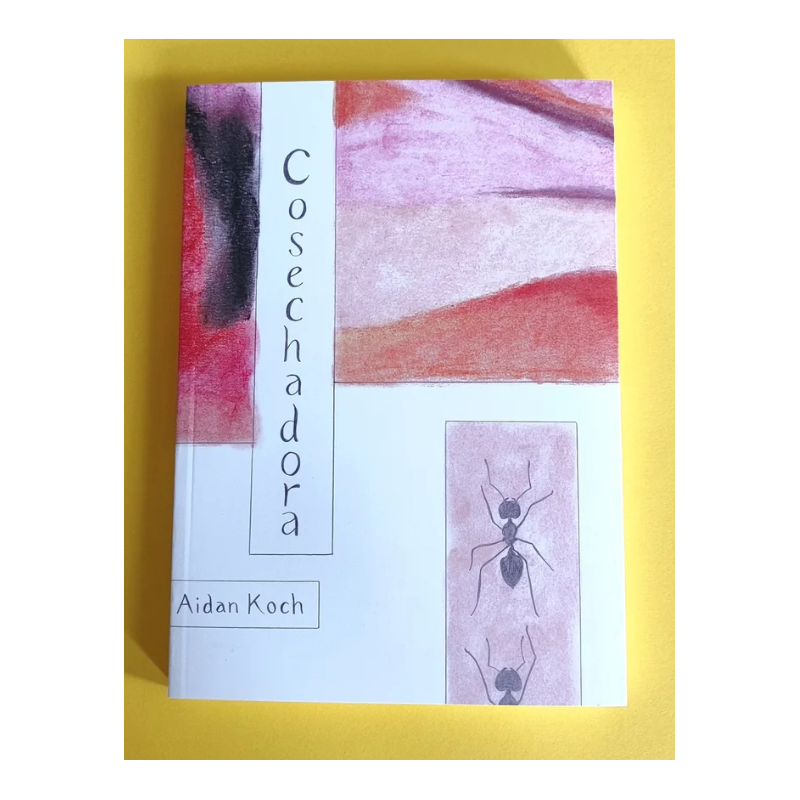 COSECHADORA - Aidan Koch