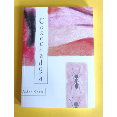 COSECHADORA - Aidan Koch