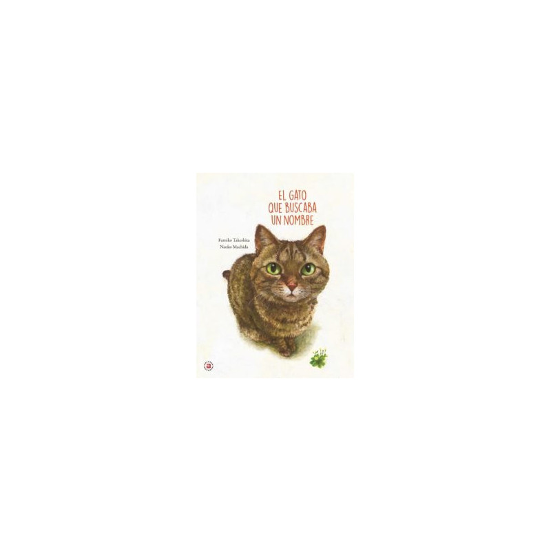 EL GATO QUE BUSCABA UN NOMBRE