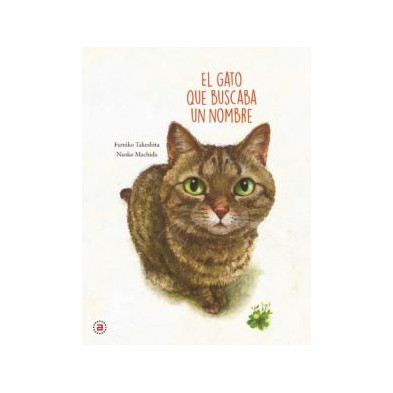 EL GATO QUE BUSCABA UN NOMBRE