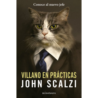 VILLANO EN PRÁCTICAS