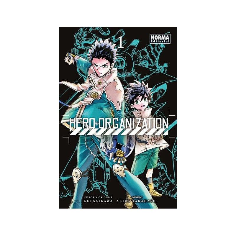 HERO ORGANIZATION 01