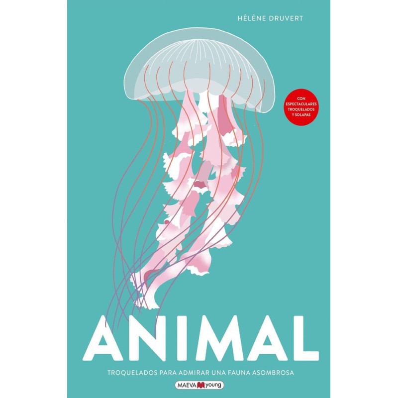 ANIMAL (Maeva)
