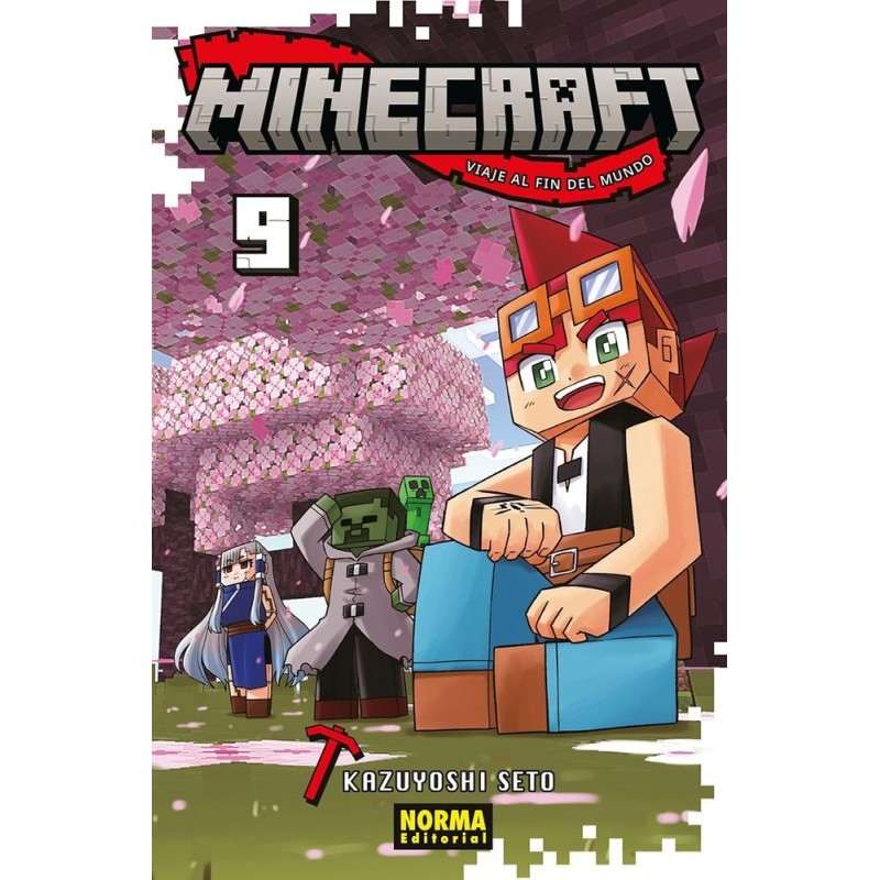MINECRAFT 9