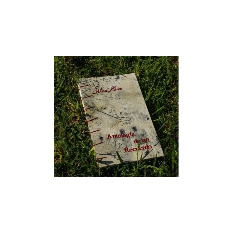 ANTOLOGÍA DE UN RECUERDO (FANZINE)