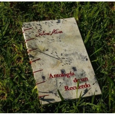 ANTOLOGÍA DE UN RECUERDO (FANZINE)