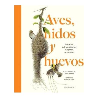 AVES NIDOS Y HUEVOS