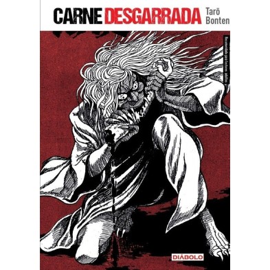 CARNE DESGARRADA